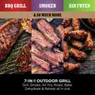Ninja OG701UK Woodfire Electric BBQ Grill & Smoker