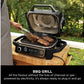 Ninja OG701UK Woodfire Electric BBQ Grill & Smoker